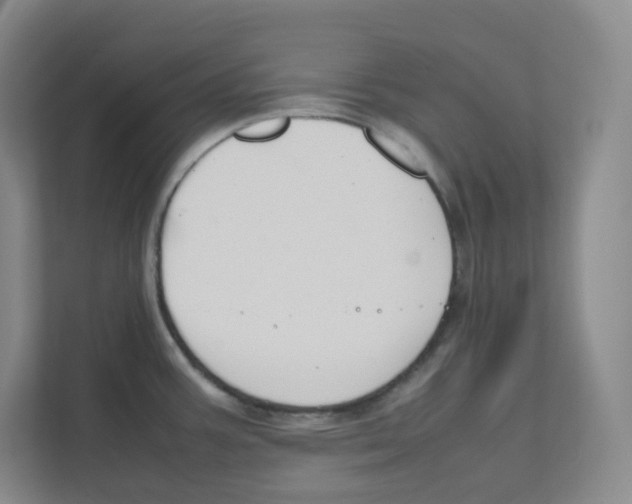 X0000111191387200907291154
