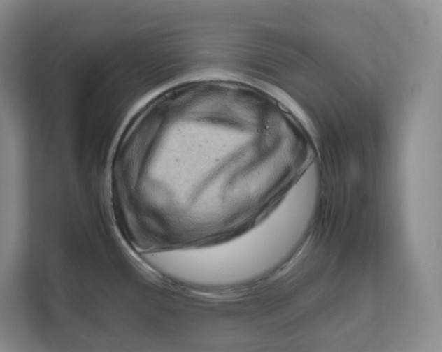 X0000111191388200907291154