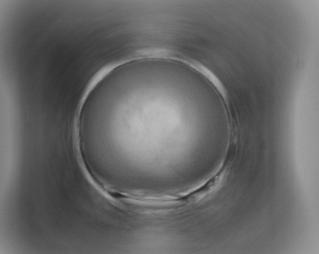 X0000111191389200907291154
