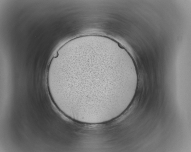 X0000111191390200907291154