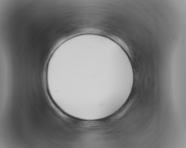 X0000111191391200907291154