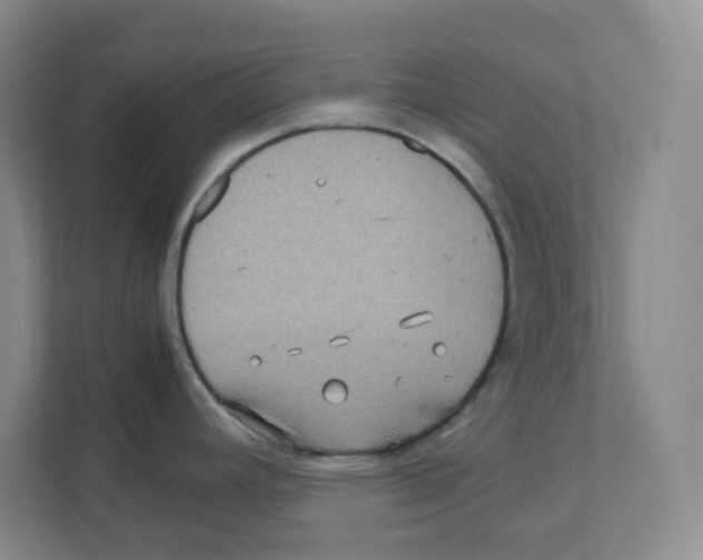X0000111191392200907291154