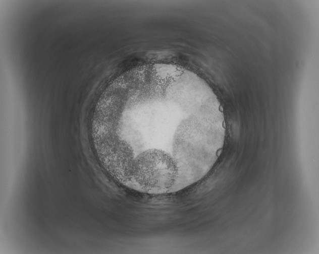 X0000111191393200907291154