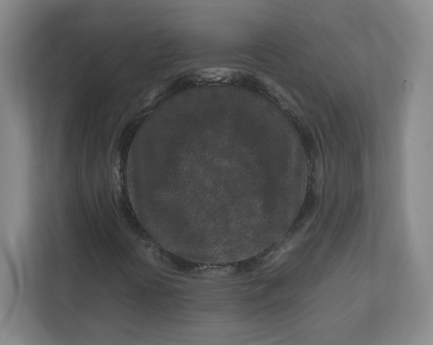 X0000111191394200907291154