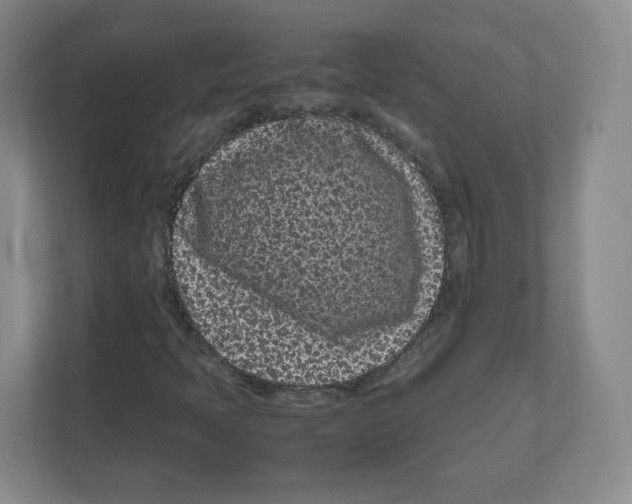 X0000111191397200907291154