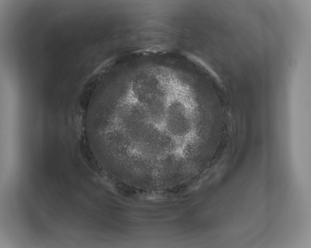 X0000111191399200907291154