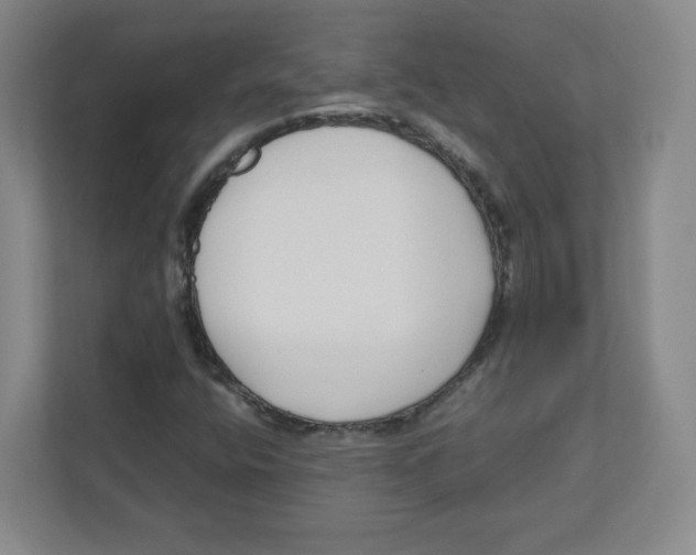 X0000111191400200907291154