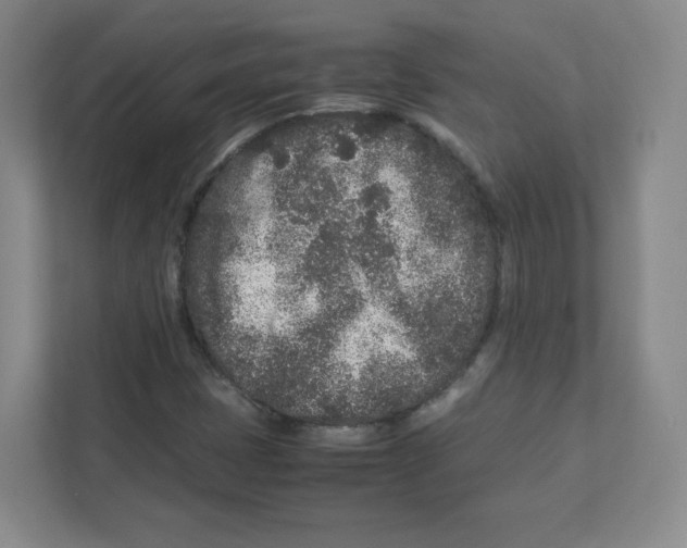 X0000111191401200907291154