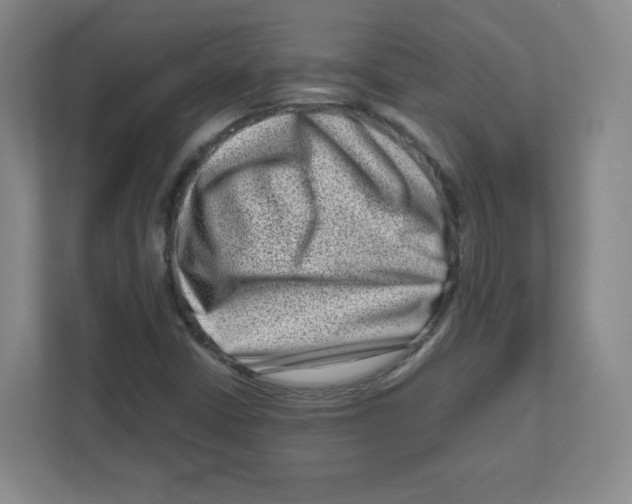X0000111191402200907291154