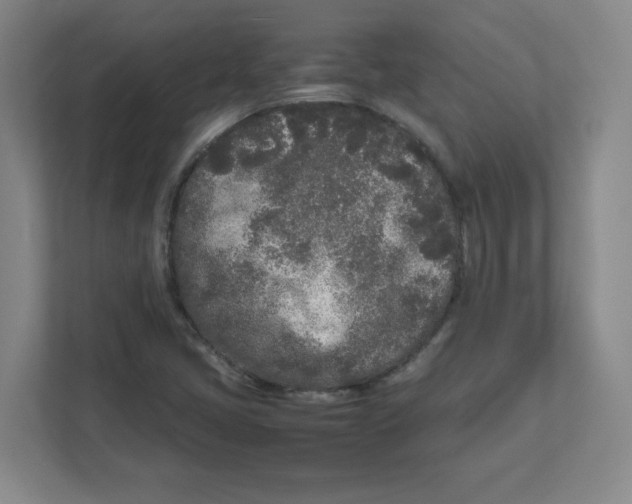 X0000111191405200907291154