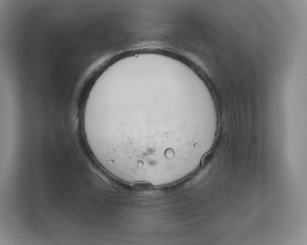 X0000111191406200907291154