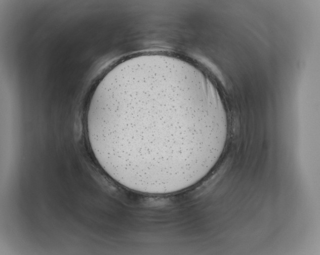X0000111191407200907291154