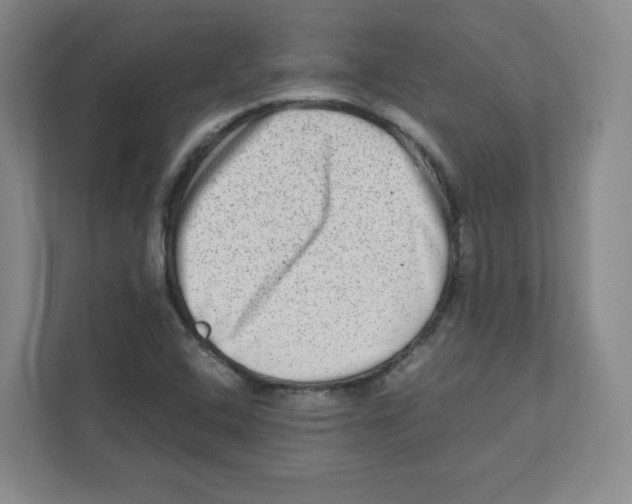 X0000111191408200907291154