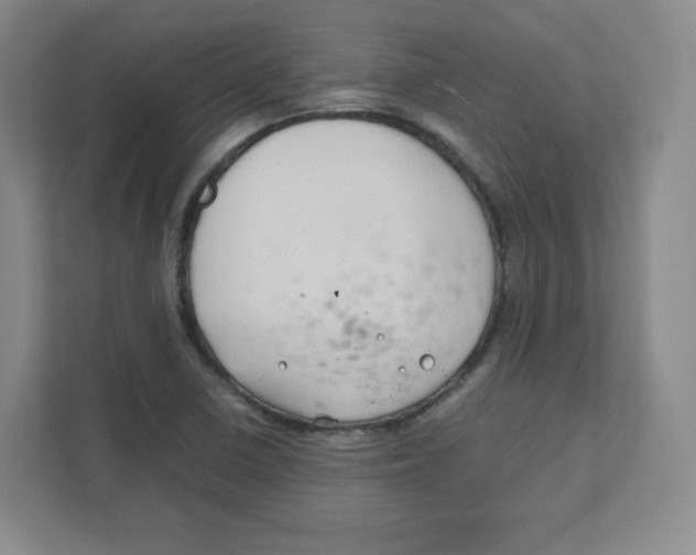 X0000111191410200907291154