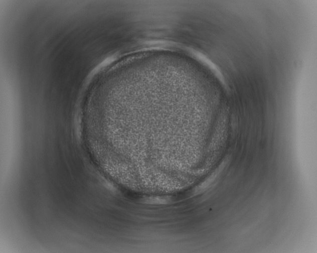 X0000111191411200907291154