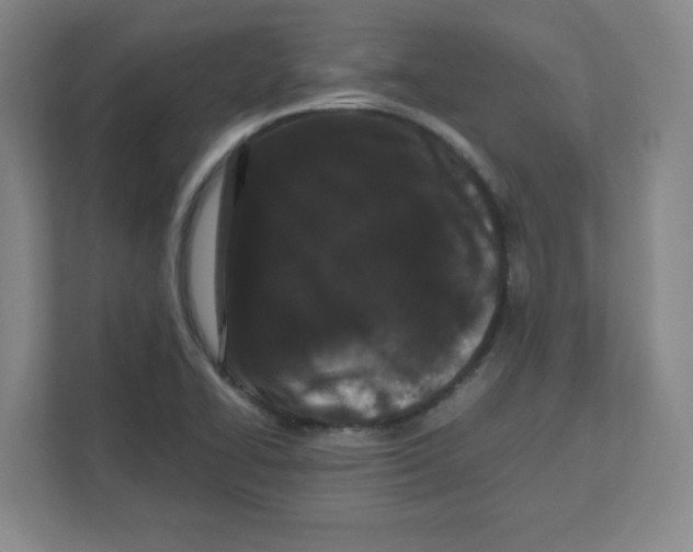 X0000111191414200907291154