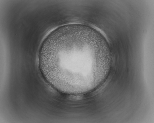 X0000111191415200907291154