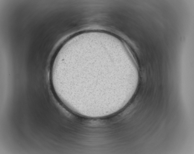 X0000111191416200907291154