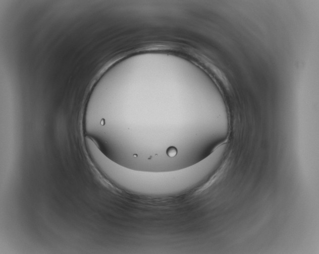 X0000111191417200907291154