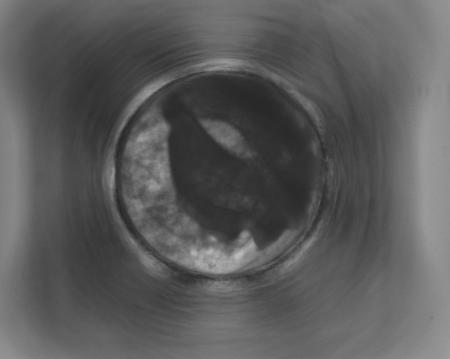 X0000111191418200907291154