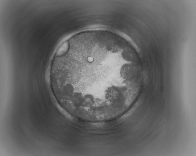 X0000111191421200907291154