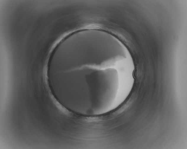 X0000111191422200907291154