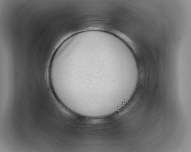 X0000111191423200907291154