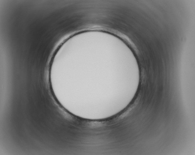 X0000111191424200907291154