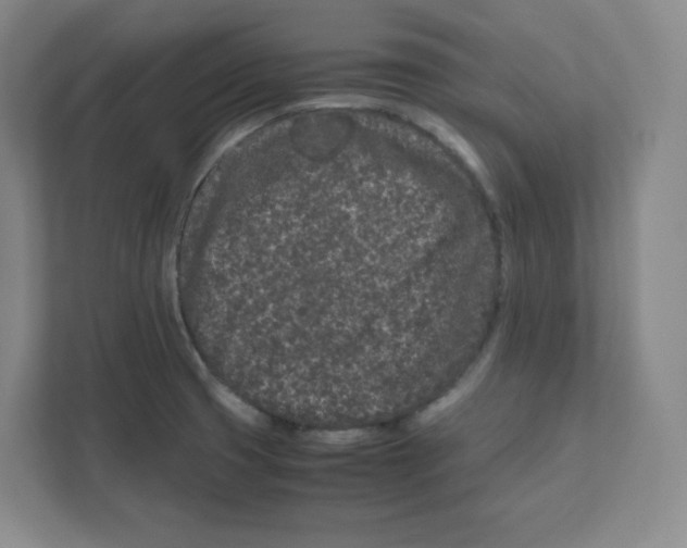 X0000111191425200907291154
