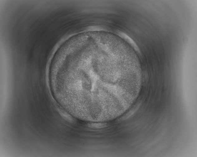 X0000111191427200907291154