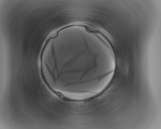 X0000111191428200907291154