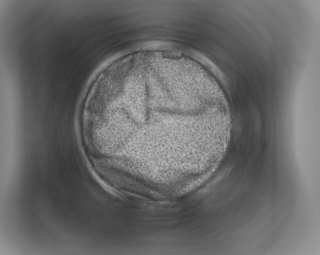 X0000111191429200907291154
