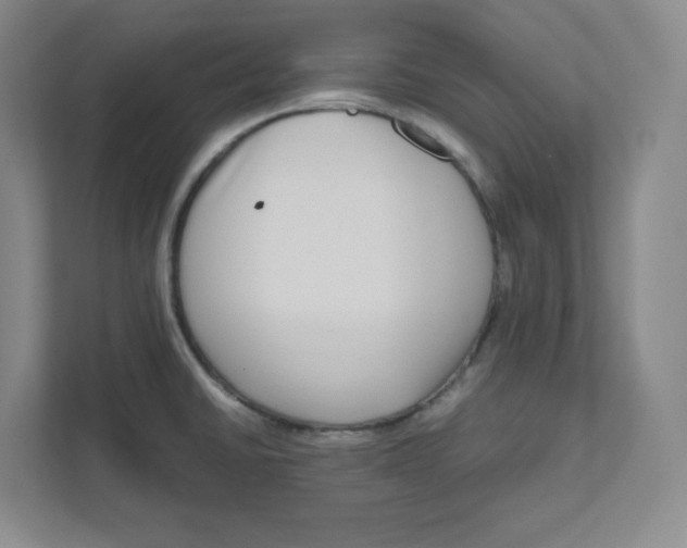 X0000111191430200907291154