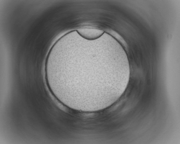 X0000111191431200907291154