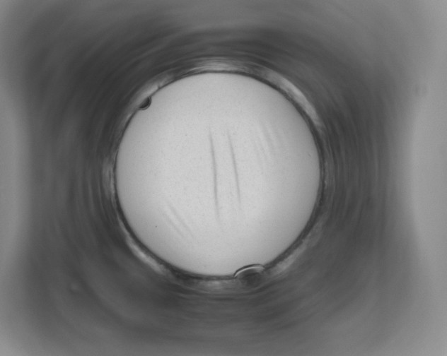 X0000111191433200907291154