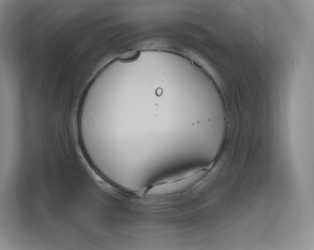 X0000111191434200907291154