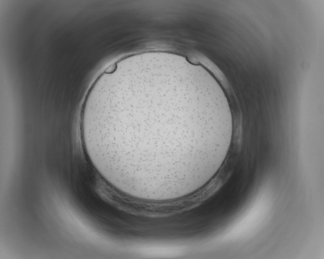 X0000111191439200907291154