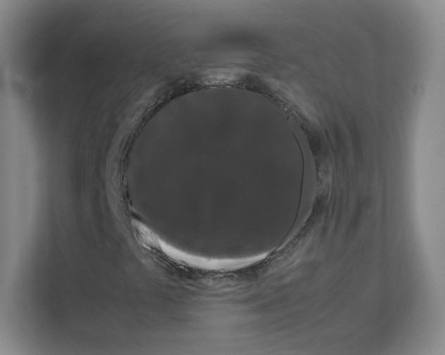 X0000111191441200907291154