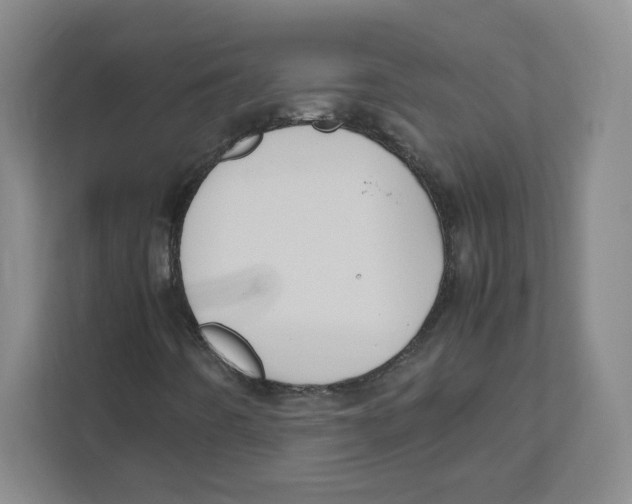 X0000111191442200907291154