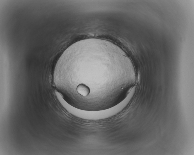 X0000111191444200907291154