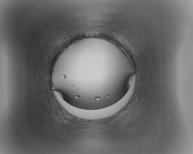 X0000111191445200907291154