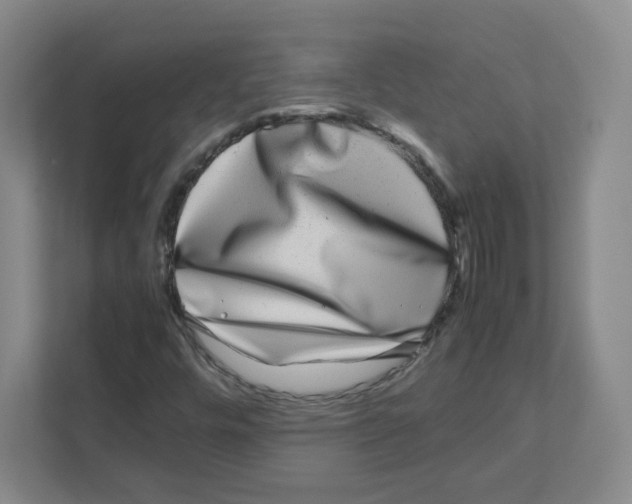 X0000111191448200907291154