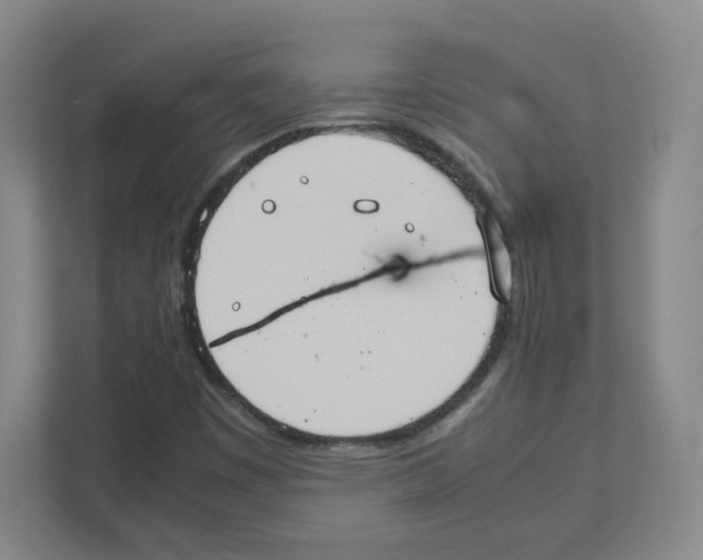 X0000111191449200907291154
