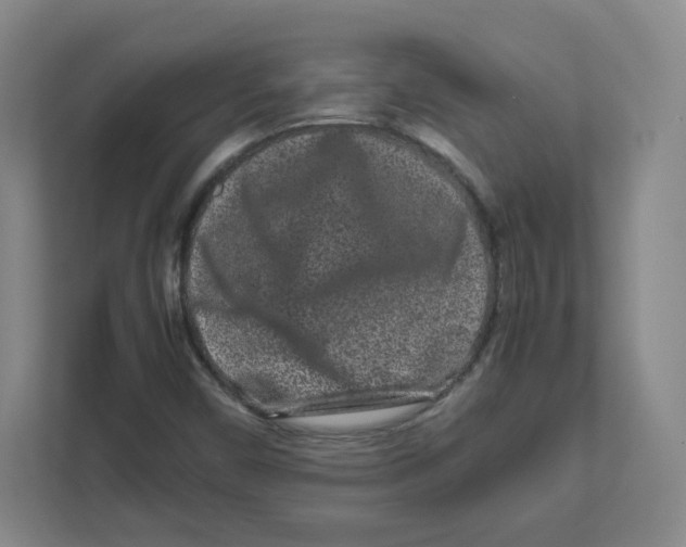 X0000111191450200907291154
