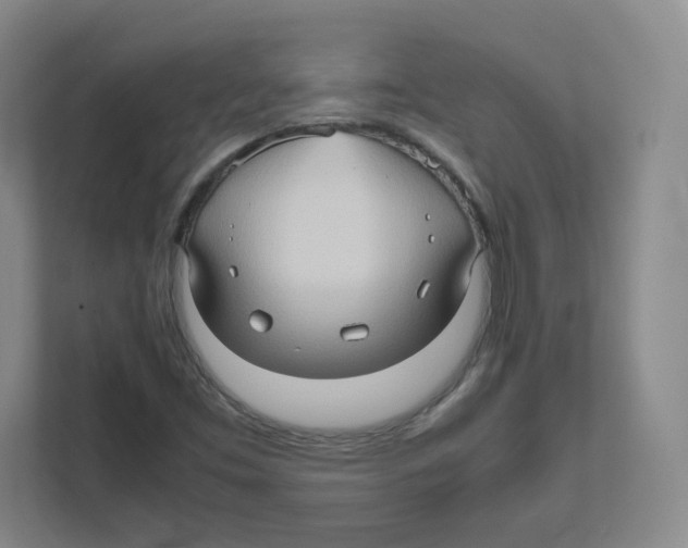 X0000111191453200907291154