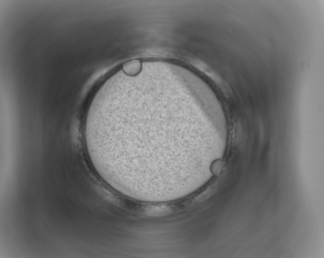 X0000111191454200907291154