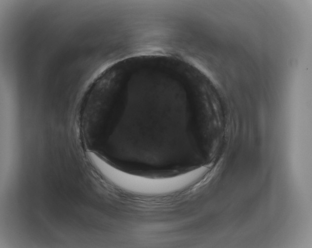 X0000111191455200907291154