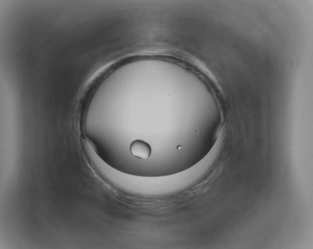 X0000111191456200907291154