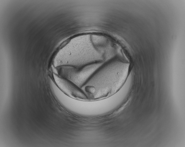X0000111191457200907291154