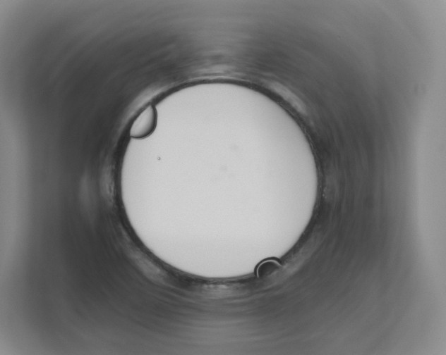 X0000111191458200907291154